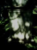 image of grave number 329983